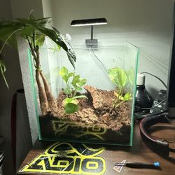 I’m Reptile Tank