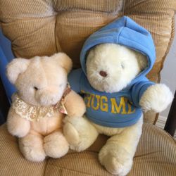 Boy & Girl Windup Plush Bears