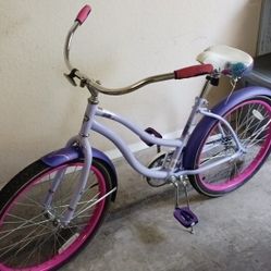 Adult Bike 