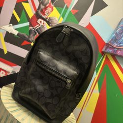 Coach Side Bags 