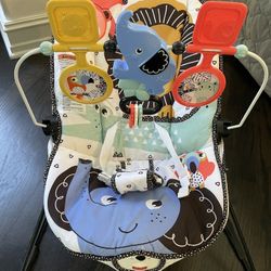 Fisher Price Bounce Chair