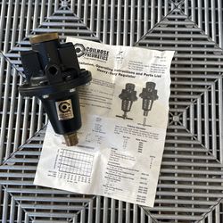 Coilhose Pneumatics Heavy Duty Regulator