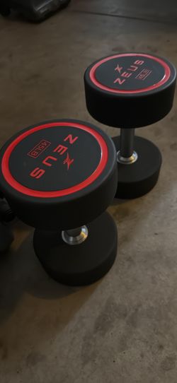 45 Pound Dumbbells 