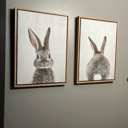 Bunny Portraits 