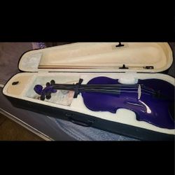 Purple 16" Viola