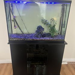60 Gal Fish Tank AND STAND 