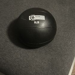 8lbs fitness ball