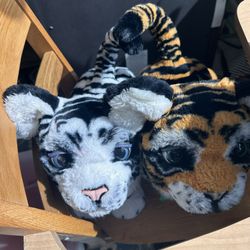 Alive Tigers 