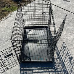 Dog Kennel