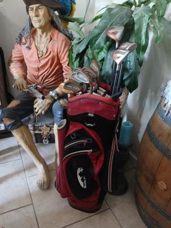Taylormade Golf Clubs Set Copper Eye 2 Irons