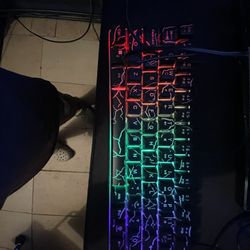It’s a keyboard with LED it can go dark and can blink and more