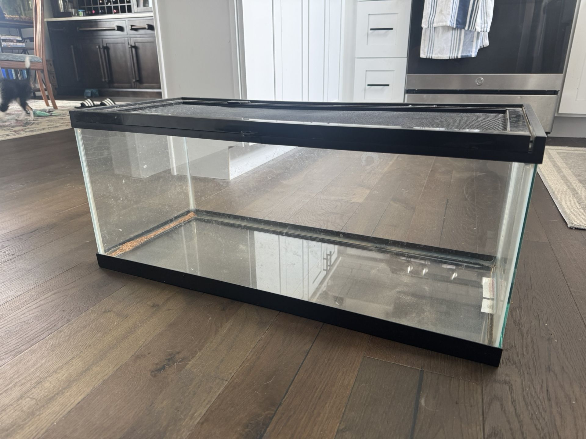 20 Gallon Terrarium 
