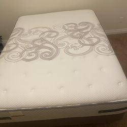 Queen Posturepedic Seally NewField Cuschion Firm