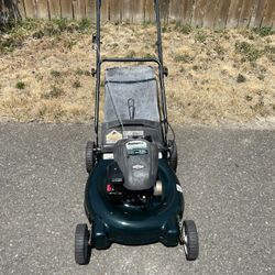 Push lawnmower with bag