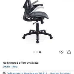 Mesh Desk Chair 