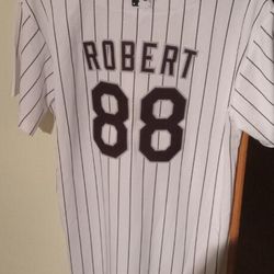 Luis Robert Chicago White Sox Nike Youth MLB Jersey L 