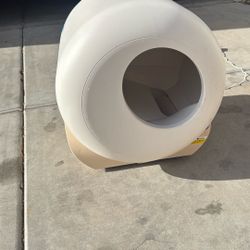 Kitty Litter 