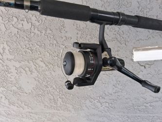 Fishing Pole and reel