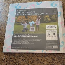 Gender Reveal Box (brand New)