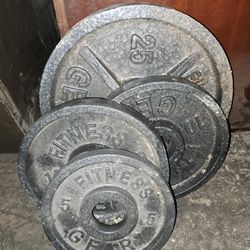 50 Lbs Of Weights 
