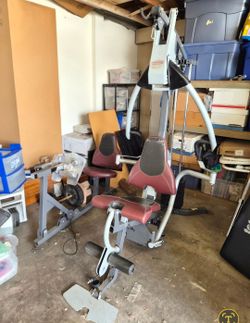 Vintage Iron Grip 2 Station Workout Machine