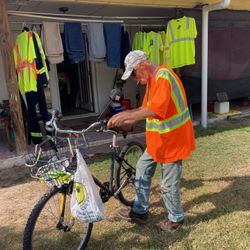 Drive. Bike Walking Dog