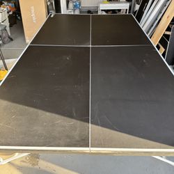 Ping Pong Table 