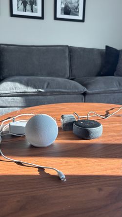 Amazon Alexa's