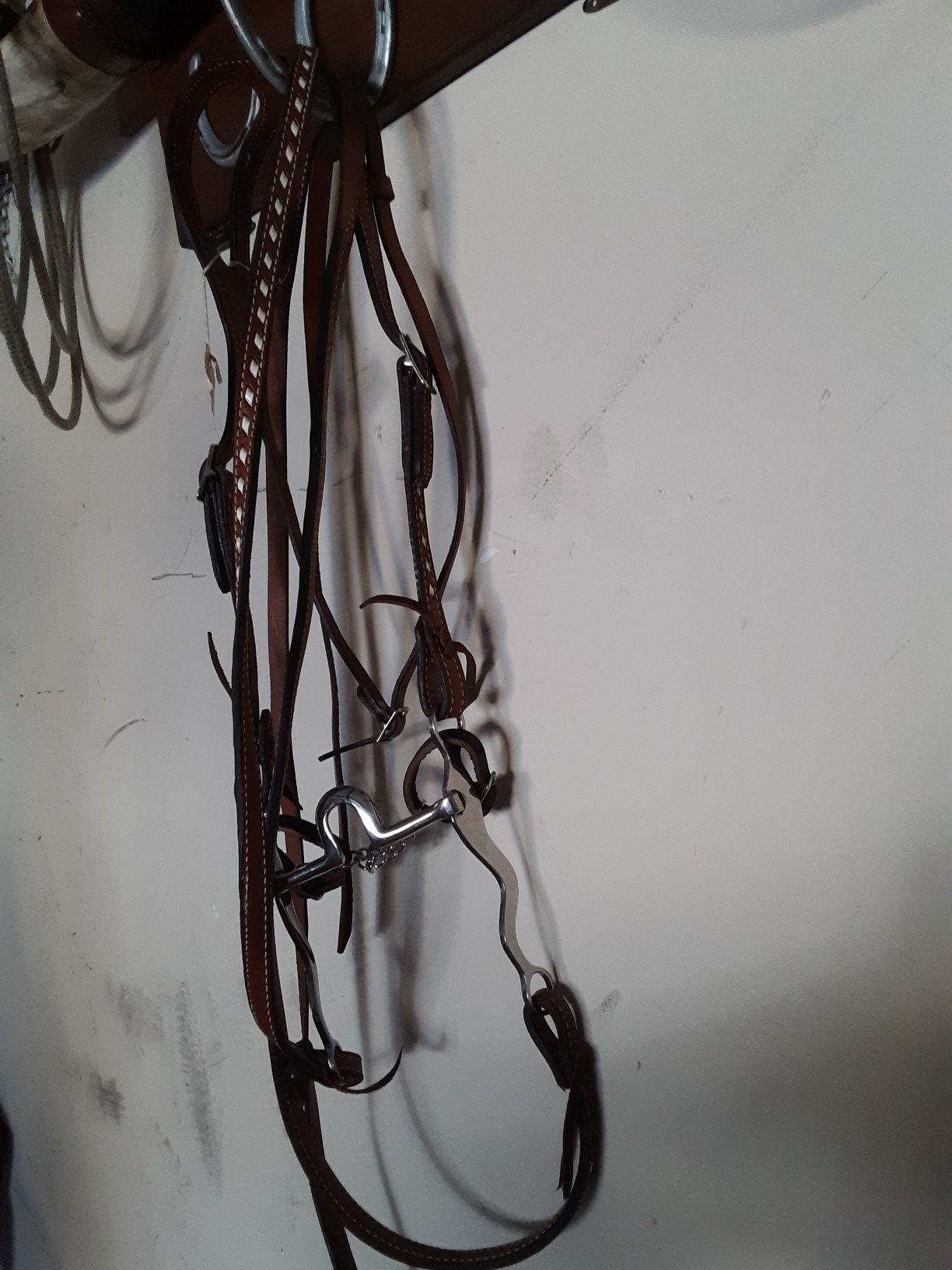 Horse bridle for sale