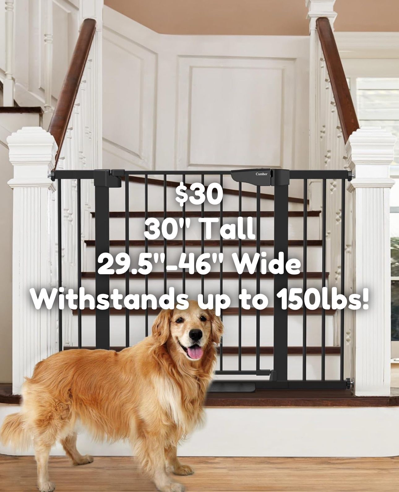 30” Tall x 29.7”-48” Wide Baby Gate Dog Gate Safety Gate Brand New Open Box Black Cumbor