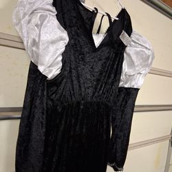 Rubies Renaissance Fair Maiden costume