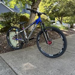 Custom Trek Mountain Bike