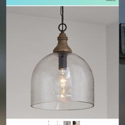 NEW Capital Lighting Pendant Light