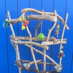 Big Thick n Tall Macaw Perch Tree… Breeder Direct Pricing And Great Quality ! 💯 Birdee Love ❤️ 