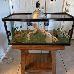 Reptile/Terrarium/Aquarium 20 Gallons long Tank With Set Up ( No Animals Included ) ( Have More Tanks Available) *** Great Condition ***