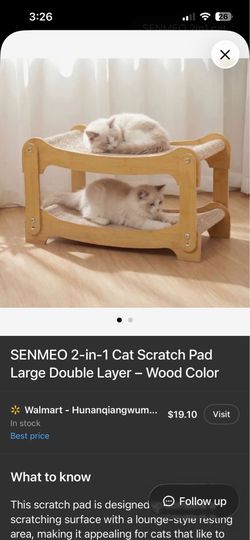 Cat scratching lounge
