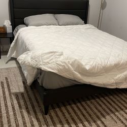 Bed Frame and Mattress 