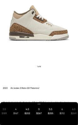 Palomino GS Air Jordan Retro 3