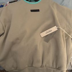 Essential Shirts