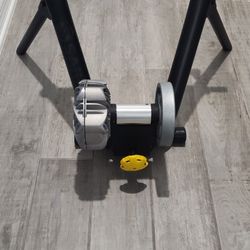 Saris Bicycle Trainer