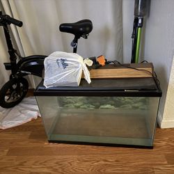 Fish Tank 