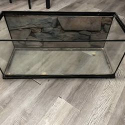 20 Gallon Tank