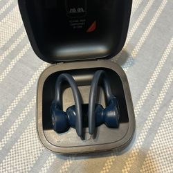 Beats Pro Earbuds