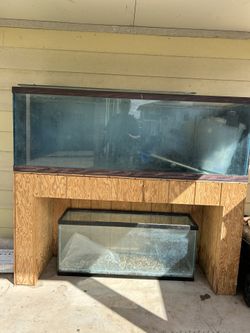180 Gallon Fish Tank