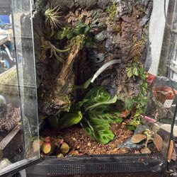 Terrarium 12*12*18 