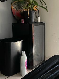 Mini fridge