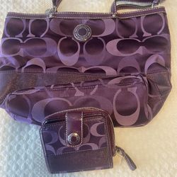Purple Coach Bag 