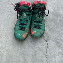 Nike LeBron James 12. Elite Xmas Akron Birch