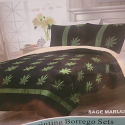 BORREGO BLANKET