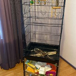 Bird Cage